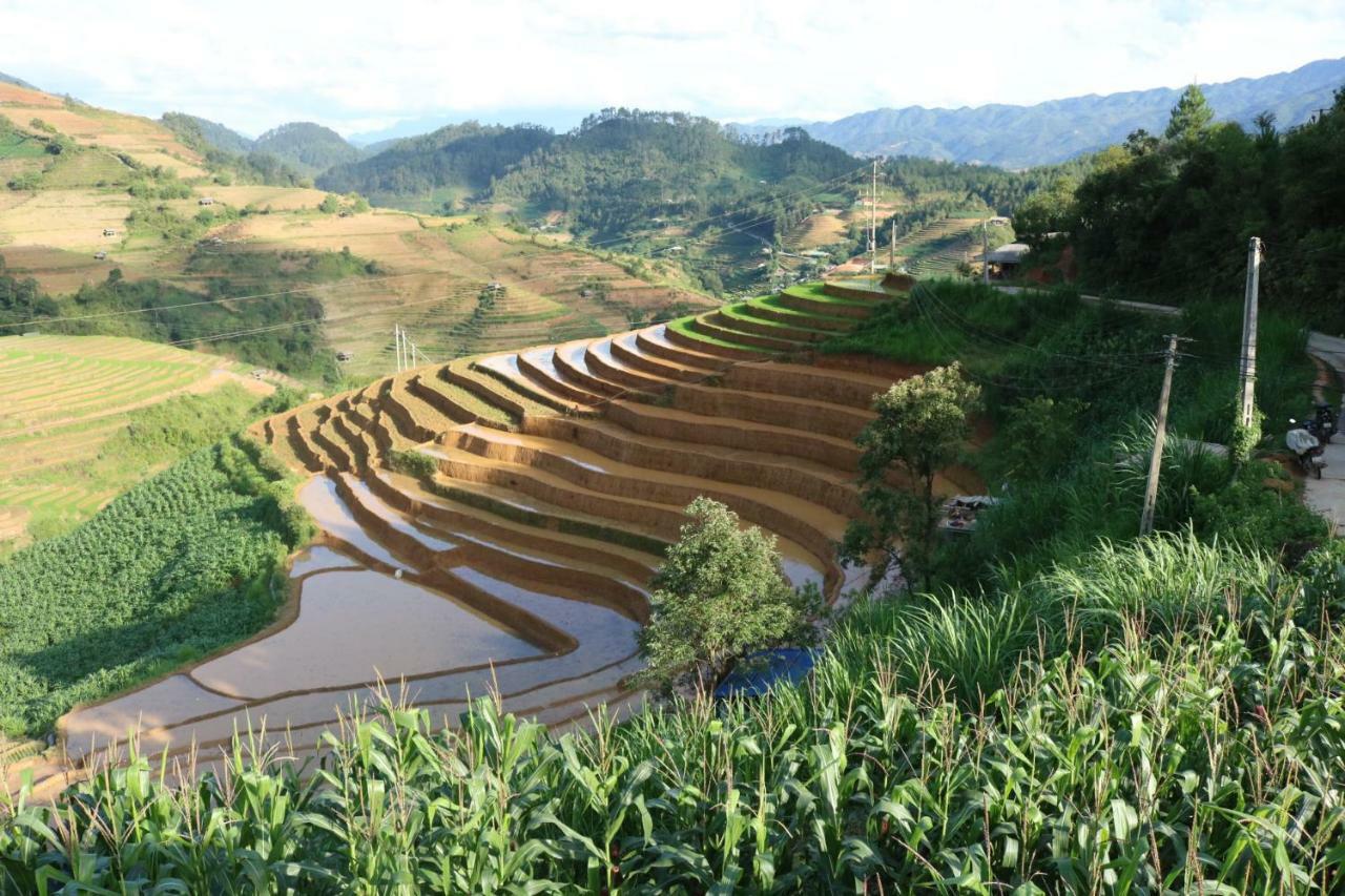 Do Gu Homestay Mu Cang Chai Exterior foto